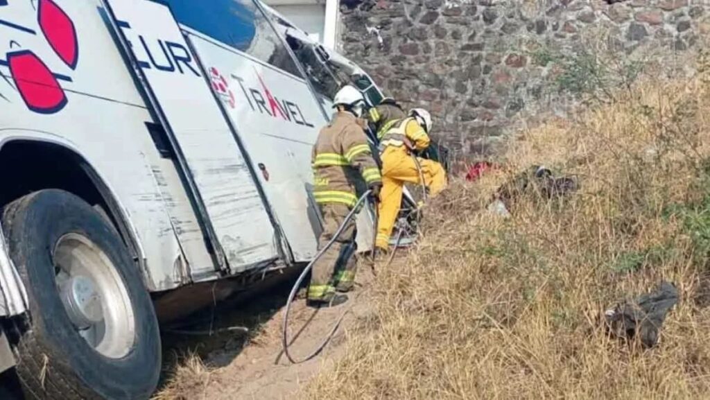 whatsapp image 2026 04 13 at 10.11.48 am
