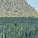 Operativo de seguridad en Santa María del Oro genera alarma entre habitantes