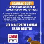 ¡Alto al maltrato animal!