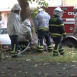 Pánico en Coyoacán: ataque de abejas deja varios lesionados